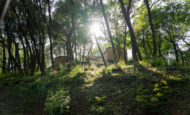 Mobil-home de Luxe Cévennes en pleine forêt