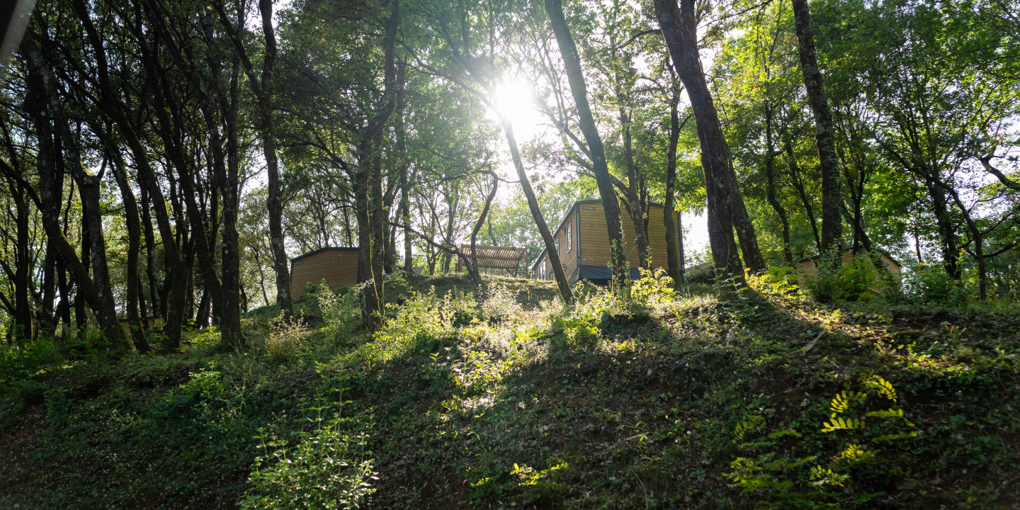 Mobil-home de Luxe Cévennes en pleine forêt