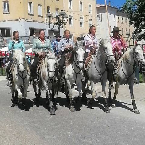 Les Férias d'Alès - Camping La Clémentine