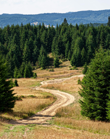 Chemin de Stevenson - Camping La Clémentine