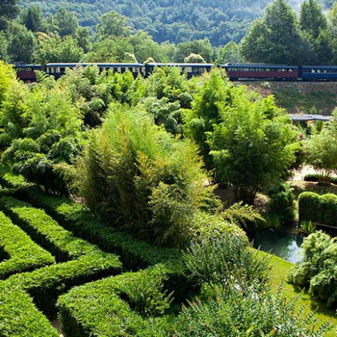 Le Train des Cévennes - Camping La Clémentine